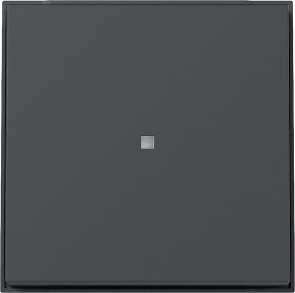 Gira 329067 Wippe Kontrollfür Gira TX_44 (WG UP) Anthrazit