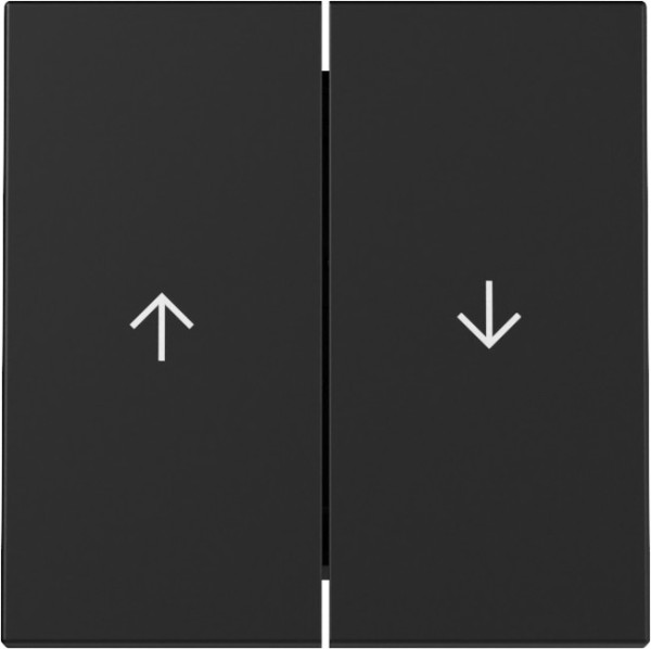 Gira 3294005 Wippe 2-fach Pfeil System 55 Schwarz m