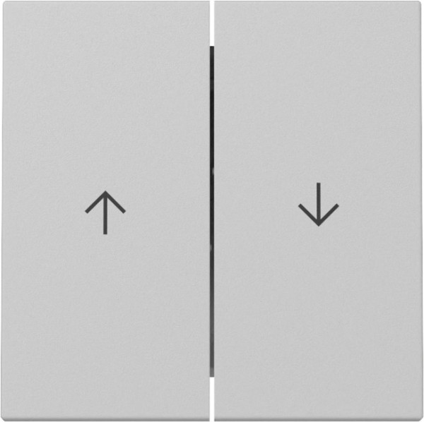 Gira 3294015 Wippe 2-fach Pfeil System 55 Grau m