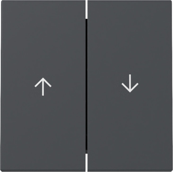 Gira 329428 Wippe 2-fach Pfeil System 55 Anthrazit