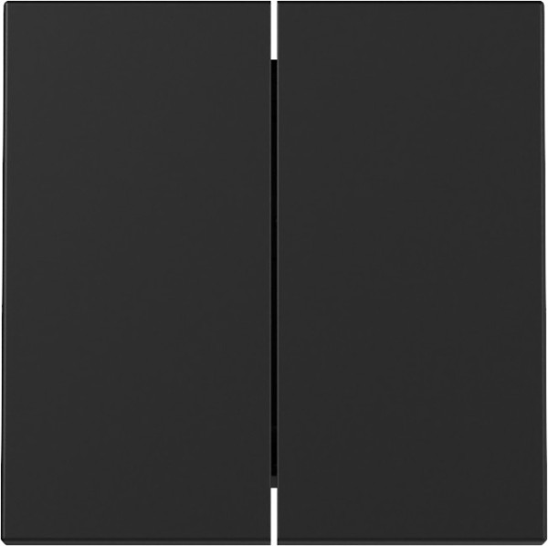 Gira 3295005 Wippe 2-fach System 55 Schwarz m