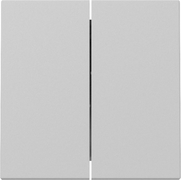 Gira 3295015 Wippe 2-fach System 55 Grau m