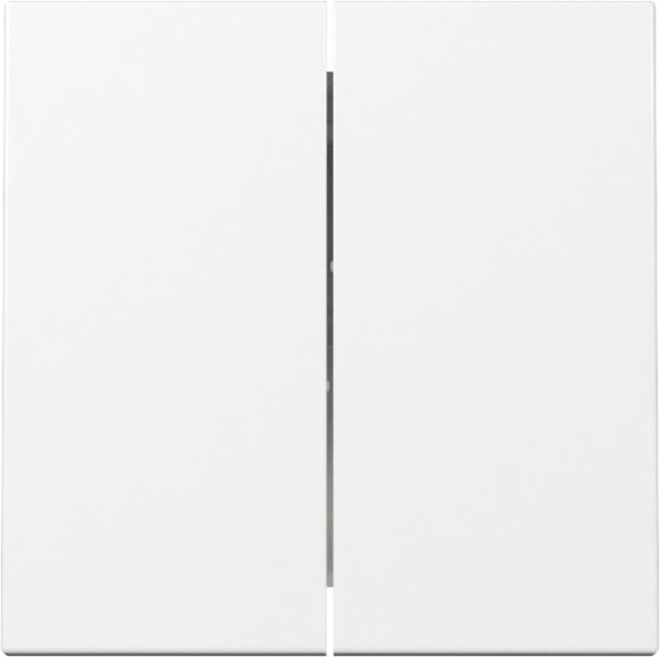 Gira 329503 Wippe 2-fach System 55 Reinweiß