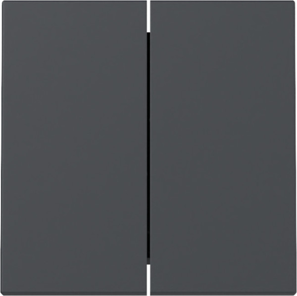 Gira 329528 Wippe 2-fach System 55 Anthrazit