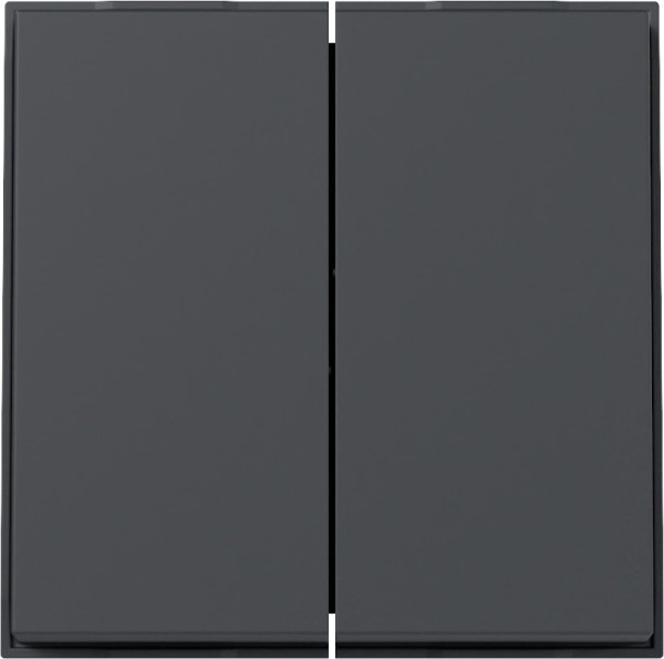 Gira 329567 Wippe 2-fach Gira TX_44 (WG UP) Anthrazit