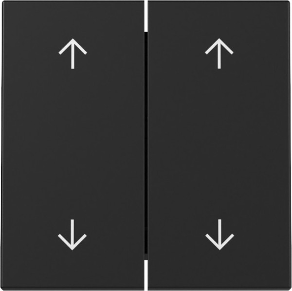Gira 3297005 Wippe 2-fach Pfeile System 55 Schwarz m