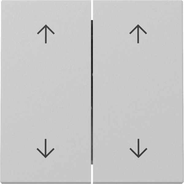 Gira 3297015 Wippe 2-fach Pfeile System 55 Grau m
