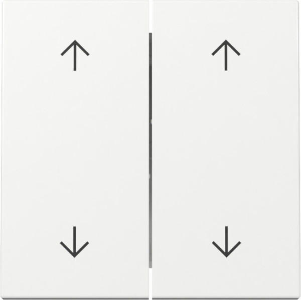 Gira 329703 Wippe 2-fach Pfeile System 55 Reinweiß