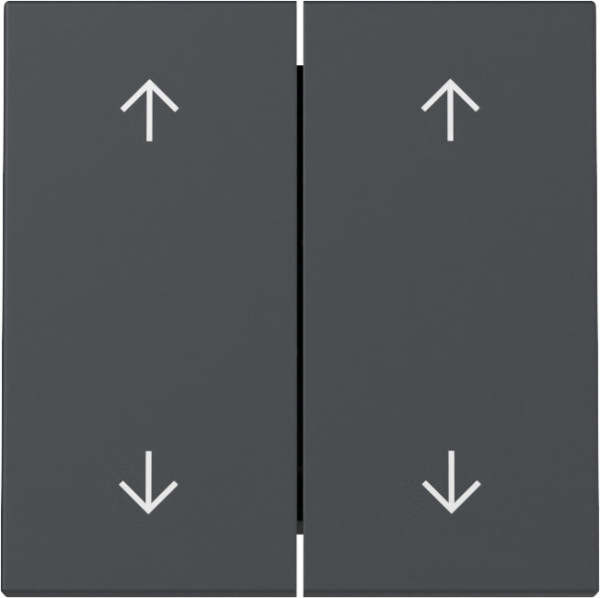 Gira 329728 Wippe 2-fach Pfeile System 55 Anthrazit