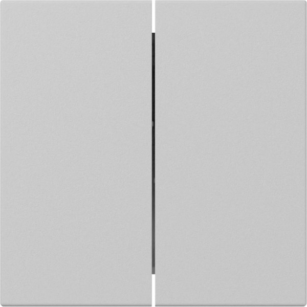 Gira 3495015 Wippe 2-fach gerade System 55 Grau m