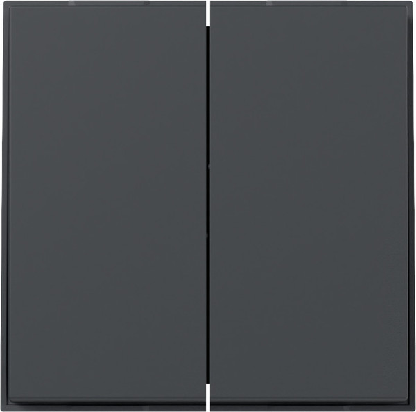 Gira 349567 Wippe 2-fach gerade Gira TX_44 Anthrazit