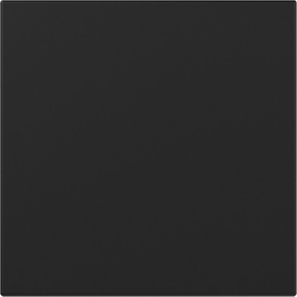 Gira 3496005 Wippe gerade System 55 Schwarz m