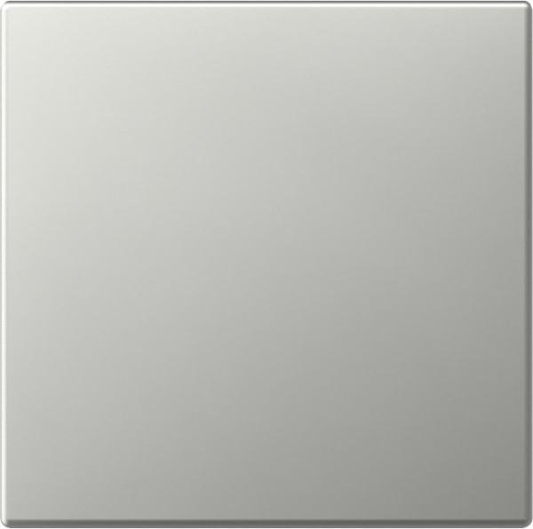Gira 3496600 Wippe gerade System 55 Edelstahl