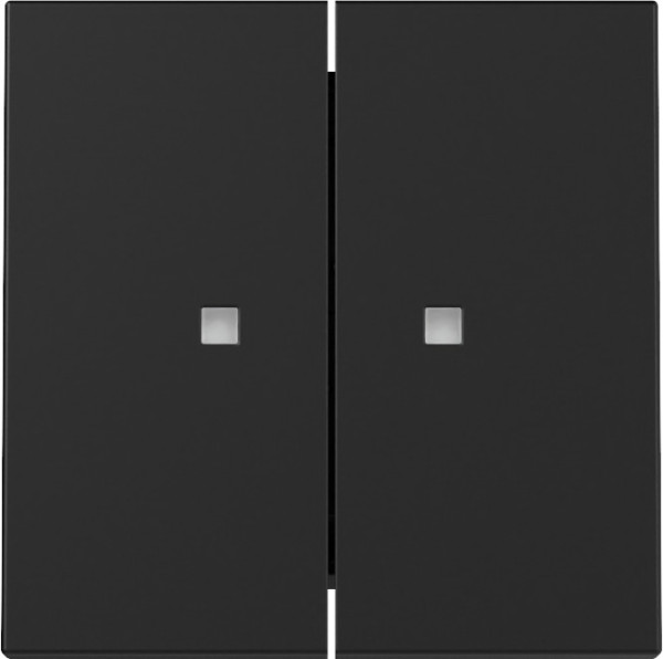 Gira 3631005 Wippe 2-fach Kontrollfür System 55 Schwarz m
