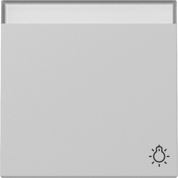 Gira 3673015 Wippe Symbol Klingel + Beschriftungsfeld System 55 Grau m