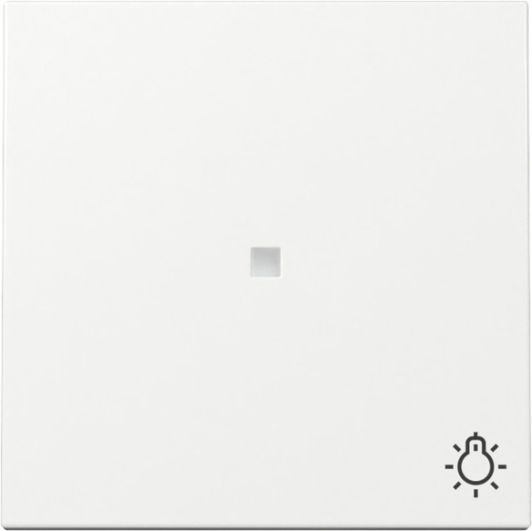 Gira 367403 Wippe Kontrollfür + Symbol Licht System 55 Reinweiß