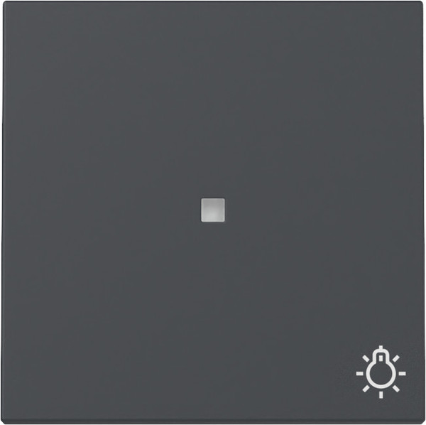 Gira 367428 Wippe Kontrollfür + Symbol Licht System 55 Anthrazit