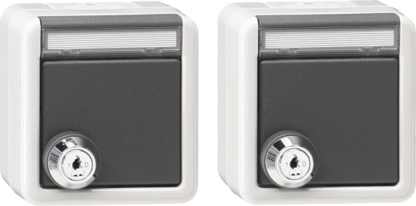 Gira 456030 Set 2x SCHUKO KD Schloss gleich + Beschriftungsfeld WG AP Grau
