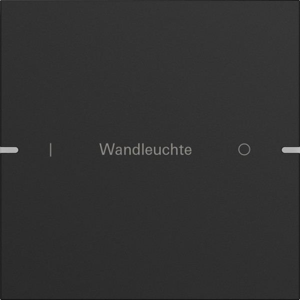 Gira 5031905 Wippenset 1-fach individuell Tastsensensor 4.95 Alum.Schwarz m(lack.)
