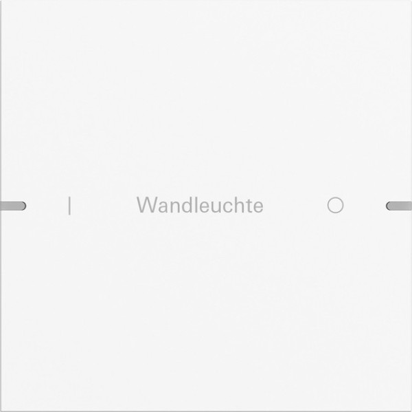 Gira 5031927 Wippenset 1-fach individuell Tastsensensor 4.95 Alum.Reinweiß m(lack.)