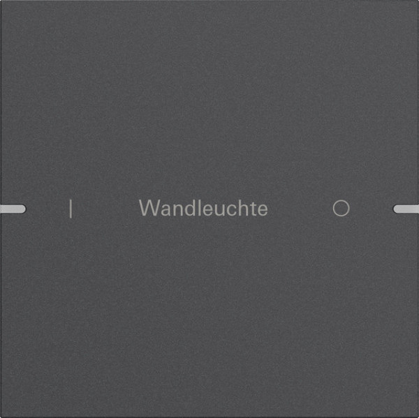 Gira 5031928 Wippenset 1-fach individuell Tastsensensor 4.95 Alum.Anthrazit(lack.)
