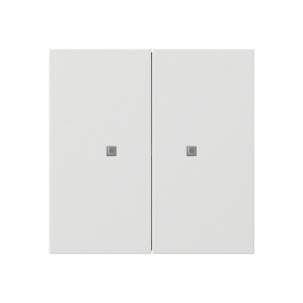 Gira 5173112 Taster Wippe 2-fach OneKNX Flächenschalter Reinweiß