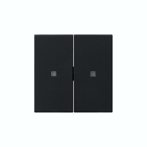 Gira 5369005 Wippe 2-fach unbedruckt Kontrollfür System 55 Schwarz m