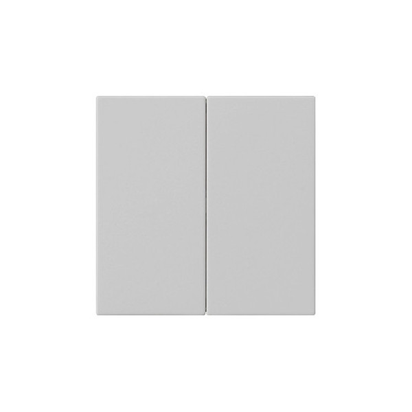 Gira 5370015 Wippe 2-fach unbedruckt System 55 Grau m