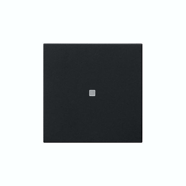 Gira 5371005 Wippe 1-fach unbedruckt Kontrollfür System 55 Schwarz m