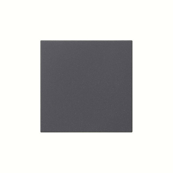Gira 537228 Wippe 1-fach unbedruckt System 55 Anthrazit
