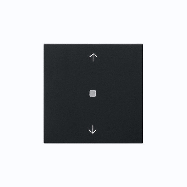 Gira 5382005 S3000 BedienAufsatz Bluetooth Pfeile System 55 Schwarz m