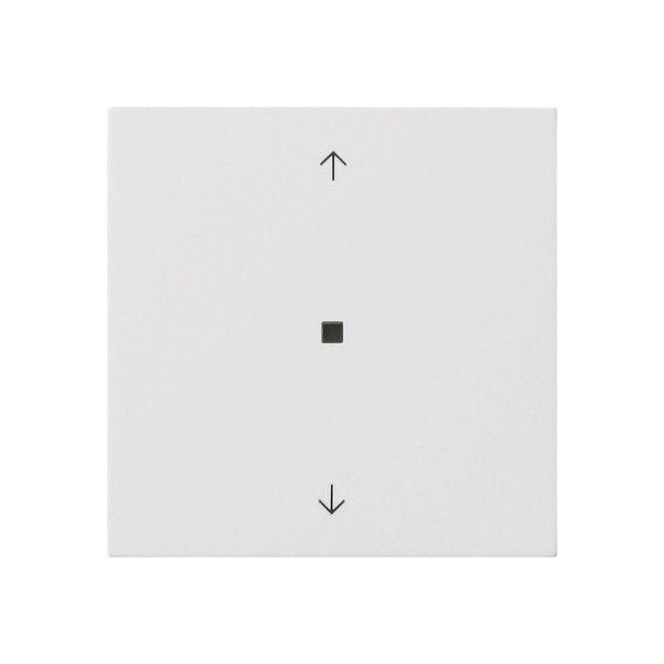 Gira 5382112 S3000 BedienAufsatz Bluetooth Pfeile Flächenschalter Reinweiß