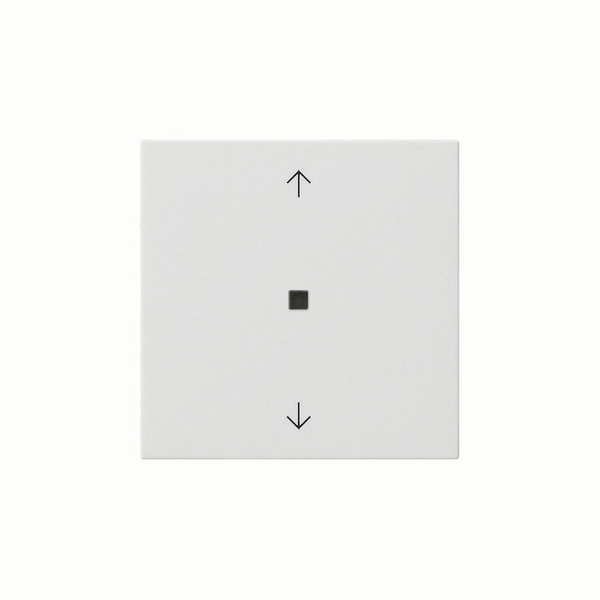 Gira 538803 Wippe 1-fach Pfeile Kontrollfür System 55 Reinweiß