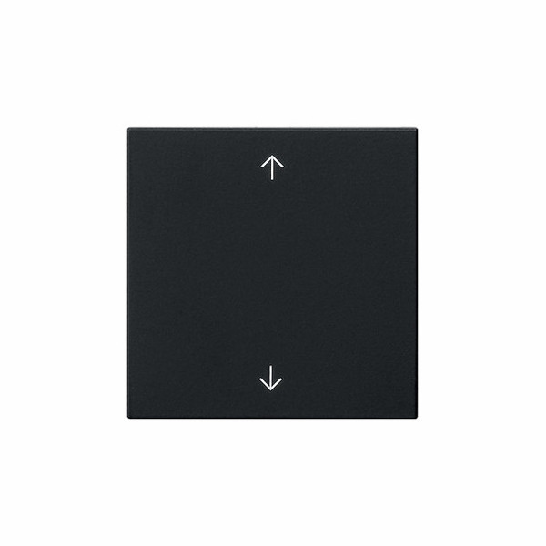 Gira 5389005 Wippe 1-fach Pfeile System 55 Schwarz m