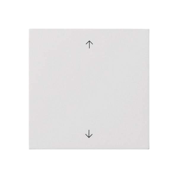 Gira 5389112 Wippe 1-fach Pfeile Flächenschalter Reinweiß
