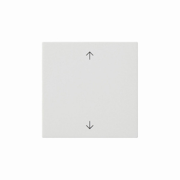 Gira 538927 Wippe 1-fach Pfeile System 55 Reinweiß m
