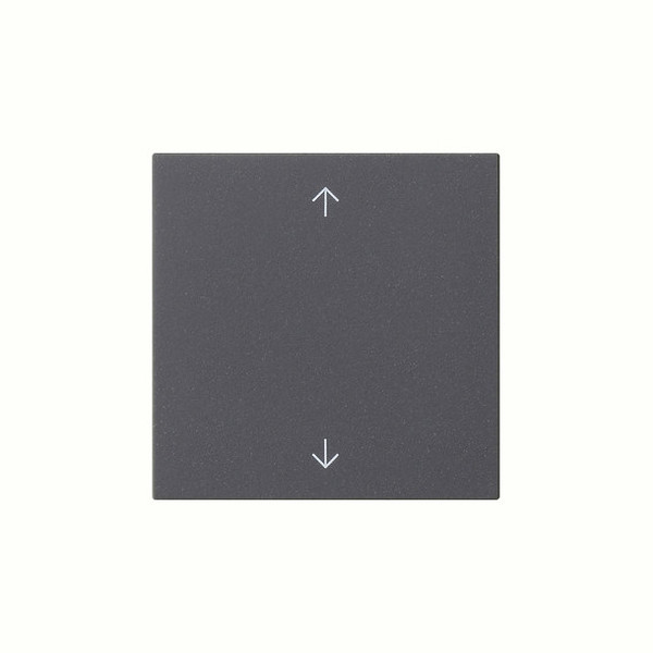 Gira 538928 Wippe 1-fach Pfeile System 55 Anthrazit
