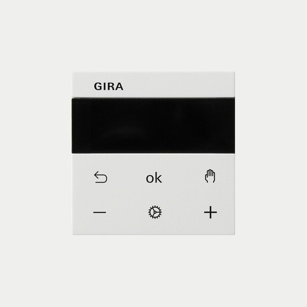 Gira 539303 S3000 RTR Display System 55 Reinweiß