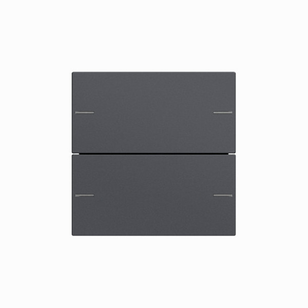 Gira 575228 Wippenset 2-fach Tastsensensor 4.55 Anthrazit