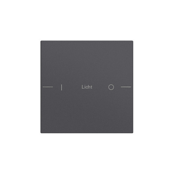 Gira 576128 Wippenset 1-fach individuell Tastsensensor 4.55 Anthrazit