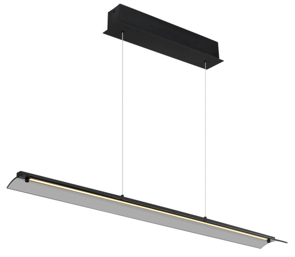 Globo Muriella LED Hängeleuchte 24W Warmweiß Schwarz Matt, Metall 150cm 17017S