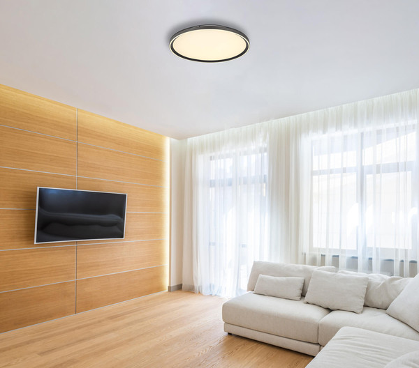 Globo Dublin LED Deckenleuchte 48W CCT Grau, Aluminium Gebürstet Fernbedienung Nachtlicht Memoryfunktion Ø50cm 48802-48