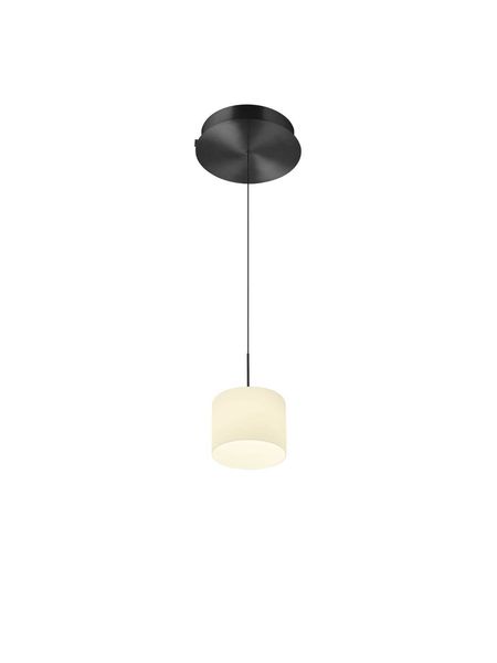 Hell Abby LED Pendelleuchte Warmweiss Dimmbar höhenverstellbar +FB Anthrazit 20659/1-39