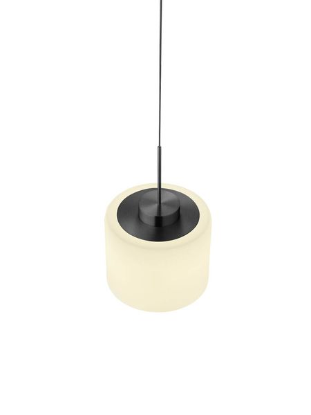 Hell Abby LED Pendelleuchte Warmweiss Dimmbar höhenverstellbar +FB Anthrazit 20659/1-39