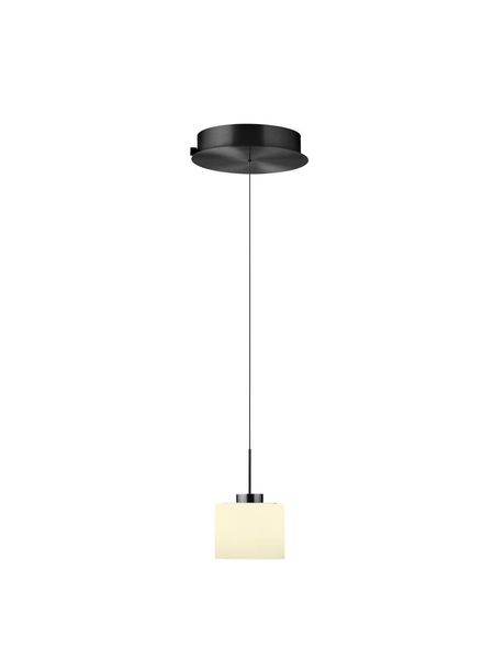Hell Abby LED Pendelleuchte Warmweiss Dimmbar höhenverstellbar +FB Anthrazit 20659/1-39