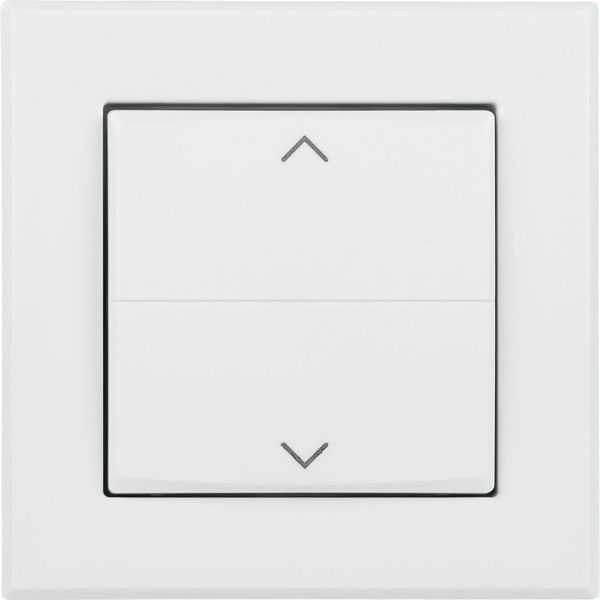 Homematic IP Tasterwippe für Markenschalter - mit Pfeilen HmIP-BRA 153001A0