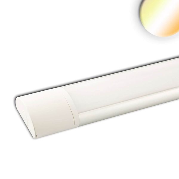 ISOLED LED Aufbauleuchte 60cm, 20W, IP42, Color Switch 3000/3500/4000K