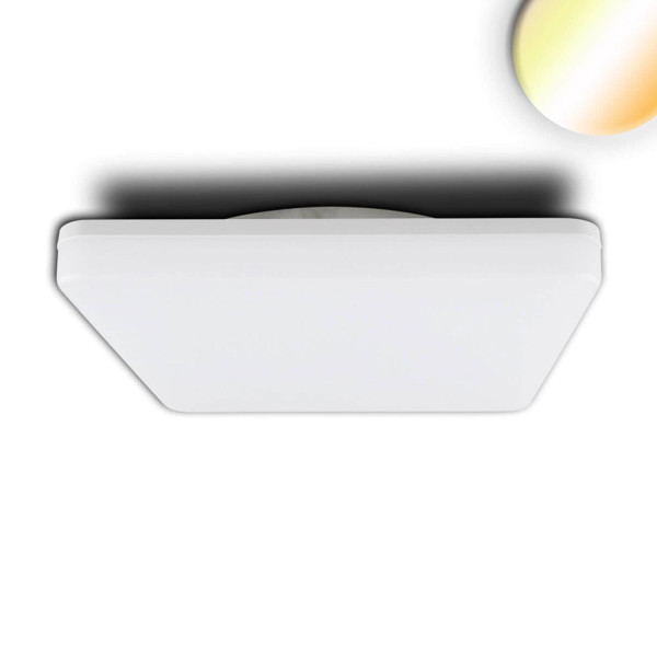 ISOLED LED Decken/Wandleuchte 24W, weiß, quadratisch, IP54, ColorSwitch 3000/4000K