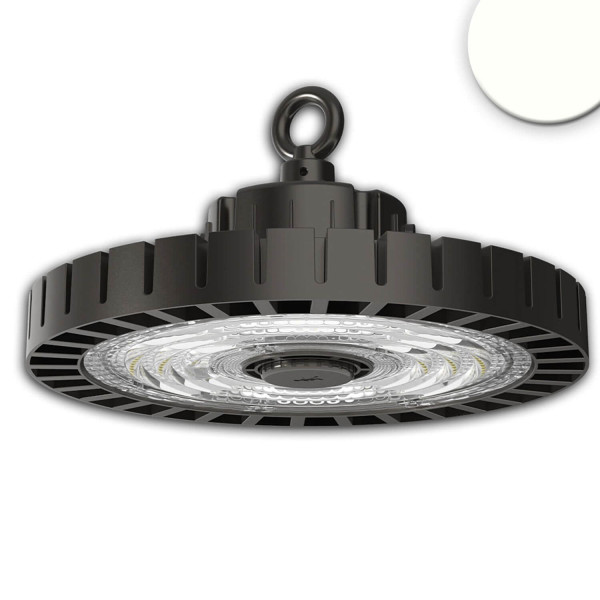 ISOLED LED Hallenleuchte MS 250W, IK10, IP65, neutralweiß, 90°, 1-10V dimmbar