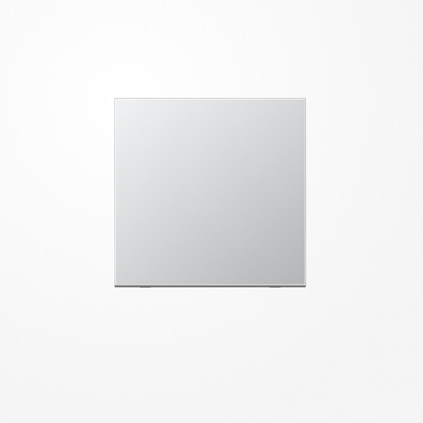 Jung AL101 Wippe für Taster 1fach, F10, Serie LS, Aluminium